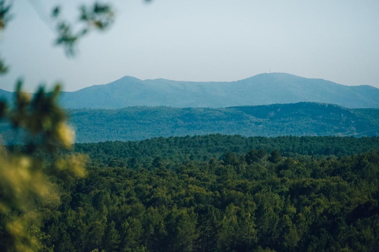 Domaine Monte Verdi Flayosc Kültér fotó