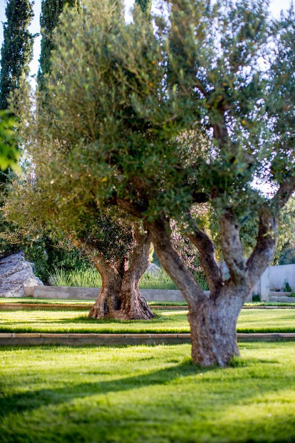 Domaine Monte Verdi Flayosc Kültér fotó